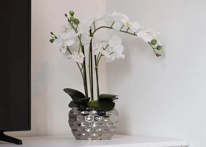 Executive Double With En-suite In Centre R4 3*